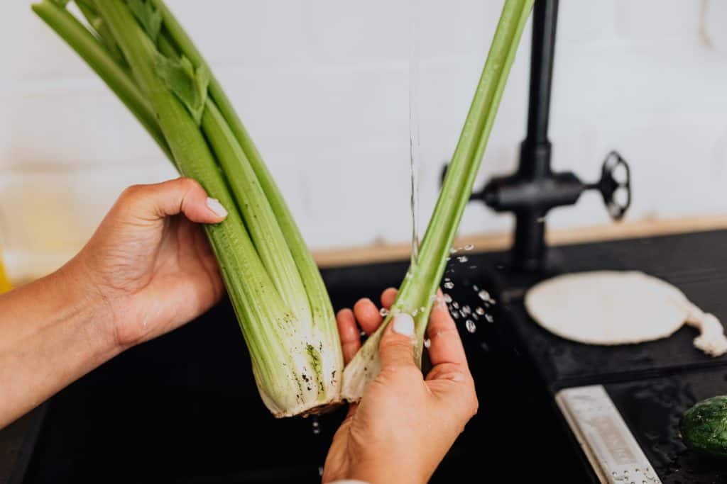 Best Juicer For Celery