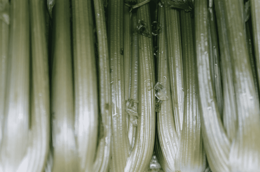 juicing celery